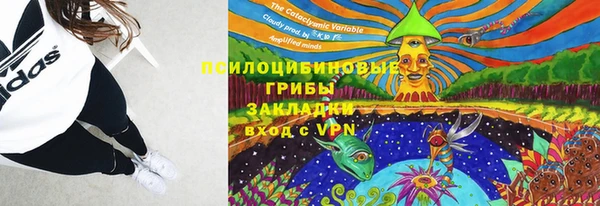 дживик Алзамай