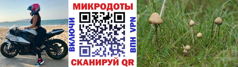 darknet Telegram  Еманжелинск  Псилоцибиновые грибы мухоморы  omg сайт 